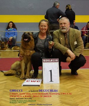 GHUCCI - Lokata I - Zwycięzca - porównanie psów  