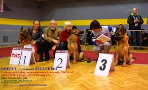 GHUCCI  - Best of Breed -  Zwycięzca Rasy 